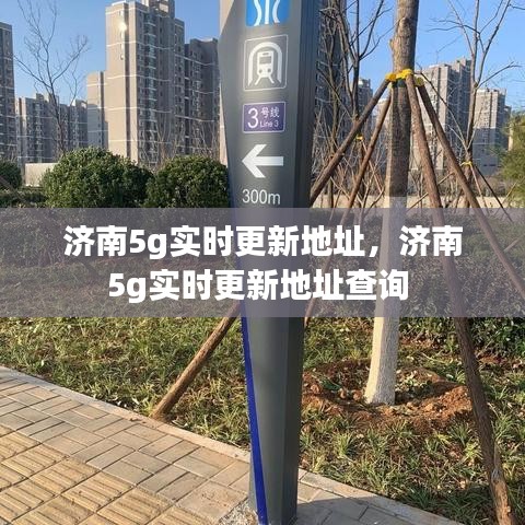 自由自在 第3頁(yè)