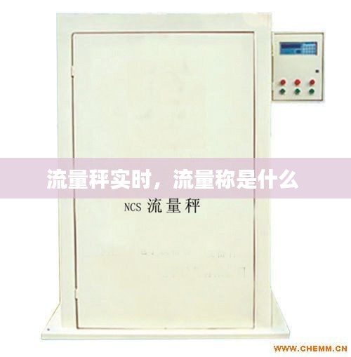 流量秤實時，流量稱是什么 