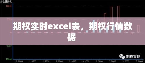 期權(quán)實時excel表，期權(quán)行情數(shù)據(jù) 