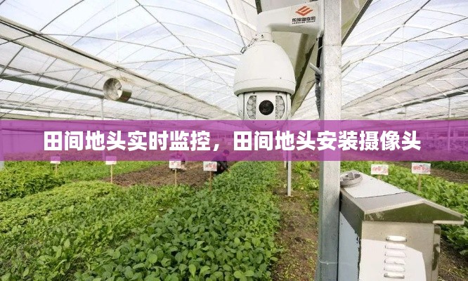 田間地頭實(shí)時(shí)監(jiān)控，田間地頭安裝攝像頭 