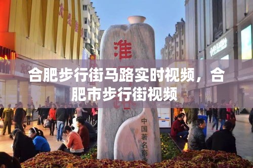合肥步行街馬路實(shí)時(shí)視頻，合肥市步行街視頻 