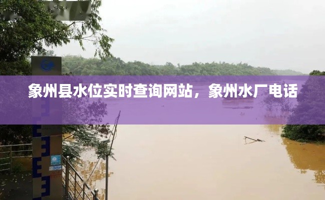 象州縣水位實(shí)時(shí)查詢網(wǎng)站，象州水廠電話 