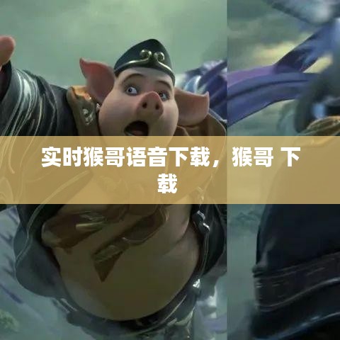 實時猴哥語音下載，猴哥 下載 