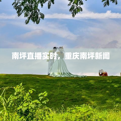 南坪直播實時，重慶南坪新聞 
