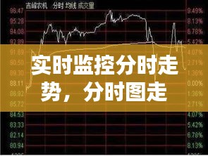 實(shí)時(shí)監(jiān)控分時(shí)走勢(shì)，分時(shí)圖走勢(shì)分析 