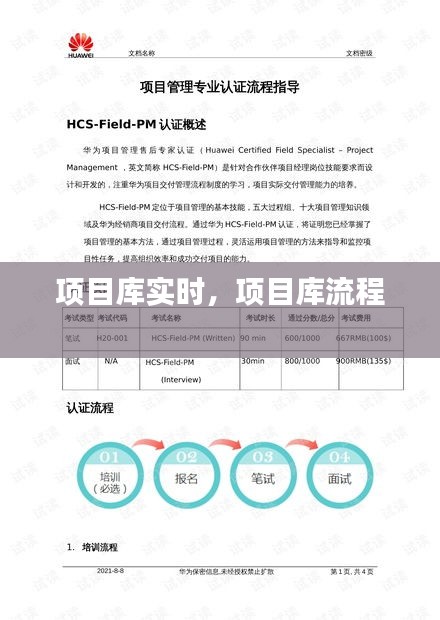 項目庫實時，項目庫流程 
