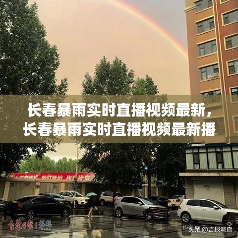 長春暴雨實時直播視頻最新，長春暴雨實時直播視頻最新播放 