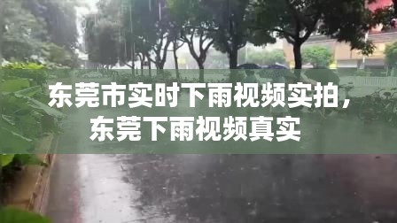東莞市實時下雨視頻實拍，東莞下雨視頻真實 