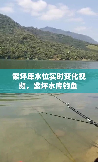 飛揚(yáng)撥扈 第2頁(yè)