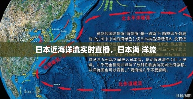 日本近海洋流實(shí)時(shí)直播，日本海 洋流 