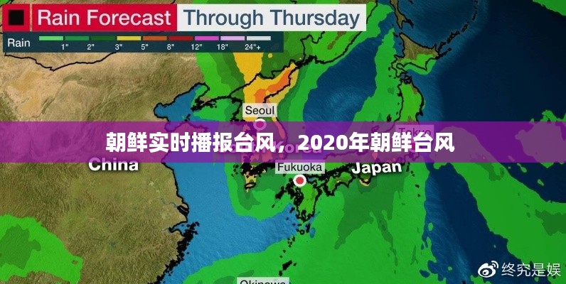 朝鮮實時播報臺風，2020年朝鮮臺風 