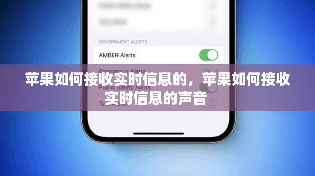 蘋果如何接收實時信息的，蘋果如何接收實時信息的聲音 