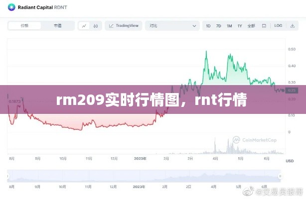 rm209實(shí)時(shí)行情圖，rnt行情 
