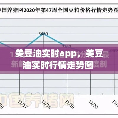 美豆油實時app，美豆油實時行情走勢圖 