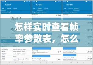 怎樣實(shí)時(shí)查看幀率參數(shù)表，怎么看實(shí)時(shí)幀數(shù) 