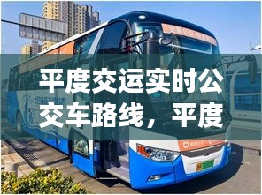 平度交運(yùn)實(shí)時(shí)公交車路線，平度公交路線圖 