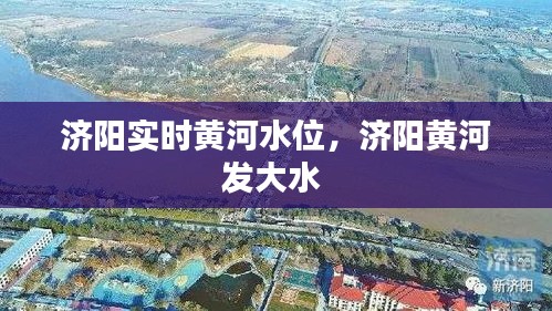 濟(jì)陽實時黃河水位，濟(jì)陽黃河發(fā)大水 