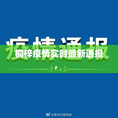 桐梓疫情實時最新通報， 