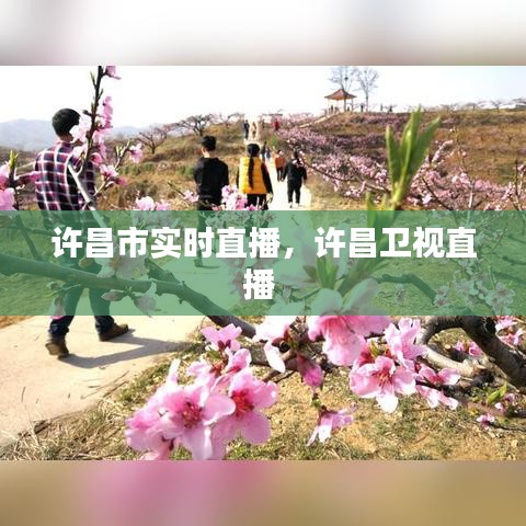 許昌市實(shí)時(shí)直播，許昌衛(wèi)視直播 