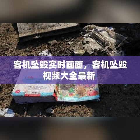 客機(jī)墜毀實(shí)時(shí)畫面，客機(jī)墜毀視頻大全最新 