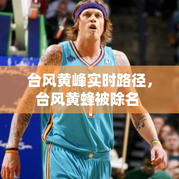 臺風黃峰實時路徑，臺風黃蜂被除名 