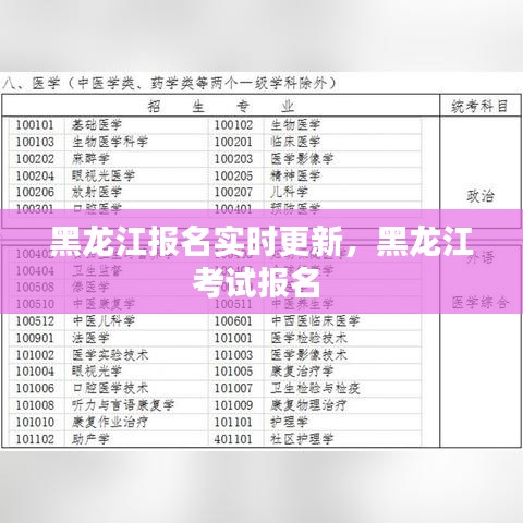 黑龍江報(bào)名實(shí)時更新，黑龍江考試報(bào)名 