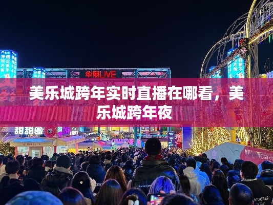 美樂(lè)城跨年實(shí)時(shí)直播在哪看，美樂(lè)城跨年夜 