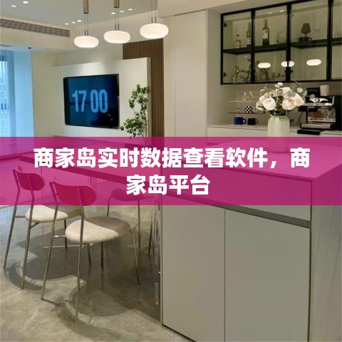 商家島實(shí)時(shí)數(shù)據(jù)查看軟件，商家島平臺(tái) 