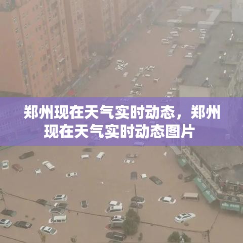 鄭州現(xiàn)在天氣實時動態(tài)，鄭州現(xiàn)在天氣實時動態(tài)圖片 