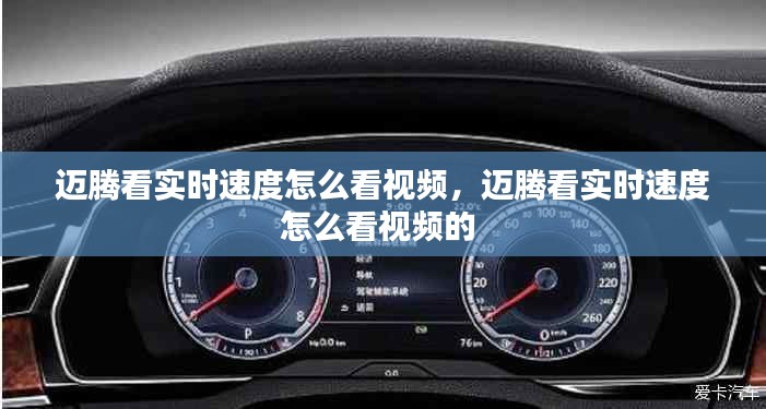 邁騰看實時速度怎么看視頻，邁騰看實時速度怎么看視頻的 