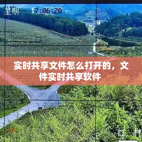 實(shí)時(shí)共享文件怎么打開的，文件實(shí)時(shí)共享軟件 