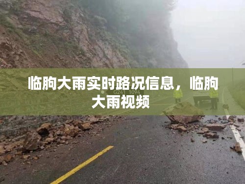 臨朐大雨實(shí)時(shí)路況信息，臨朐大雨視頻 