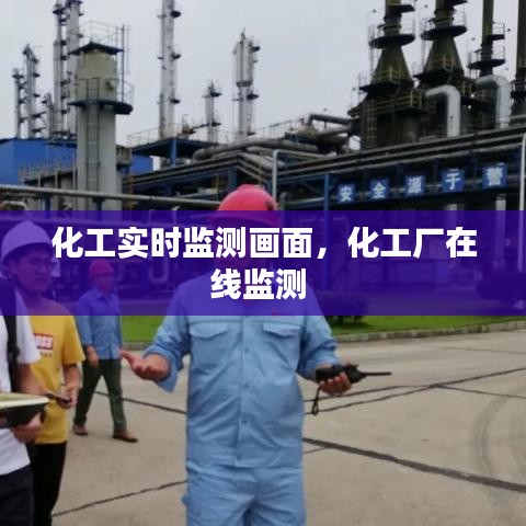 化工實(shí)時(shí)監(jiān)測畫面，化工廠在線監(jiān)測 