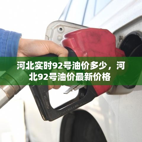 河北實(shí)時(shí)92號(hào)油價(jià)多少，河北92號(hào)油價(jià)最新價(jià)格 