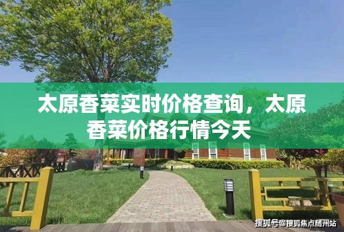 太原香菜實時價格查詢，太原香菜價格行情今天 