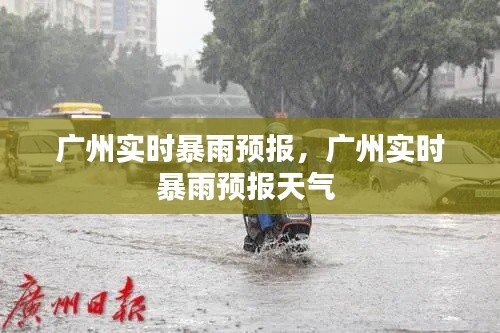 廣州實時暴雨預(yù)報，廣州實時暴雨預(yù)報天氣 