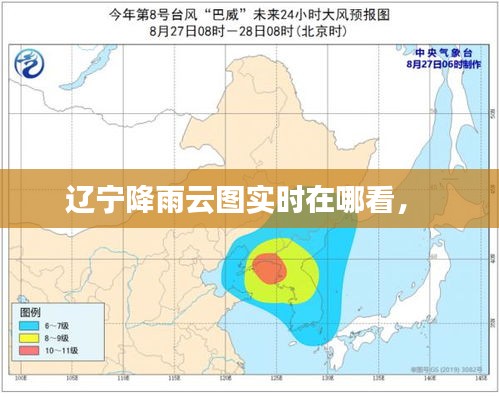 遼寧降雨云圖實時在哪看， 
