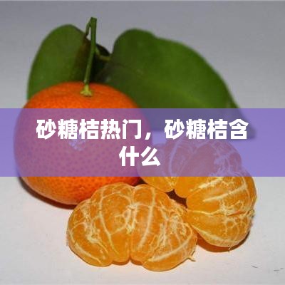砂糖桔熱門，砂糖桔含什么 