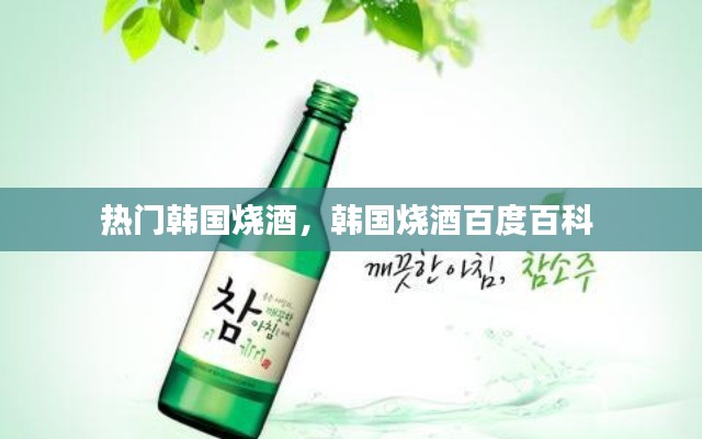 熱門韓國(guó)燒酒，韓國(guó)燒酒百度百科 