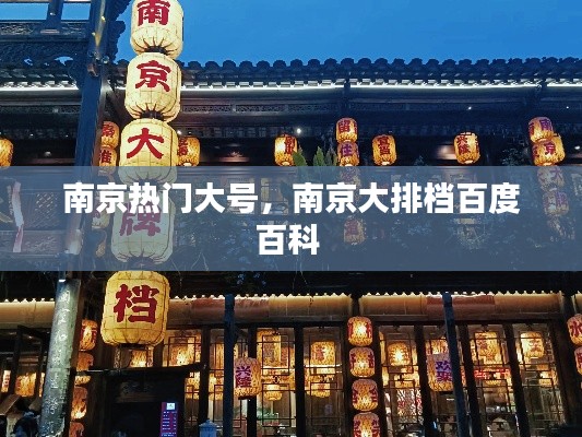 南京熱門大號，南京大排檔百度百科 