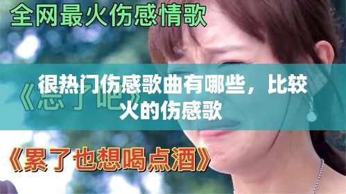很熱門(mén)傷感歌曲有哪些，比較火的傷感歌 