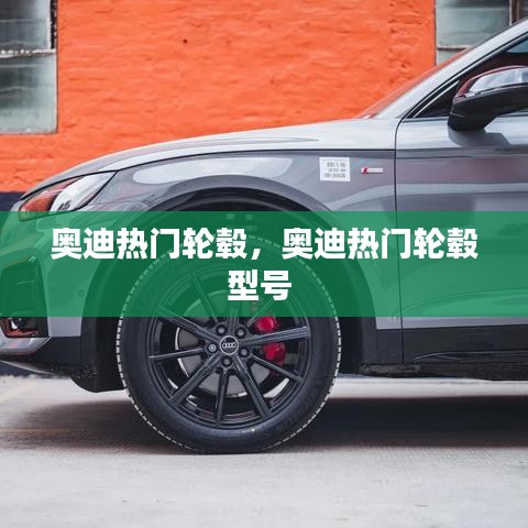 奧迪熱門輪轂，奧迪熱門輪轂型號 