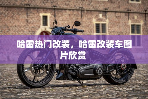 哈雷熱門改裝，哈雷改裝車圖片欣賞 
