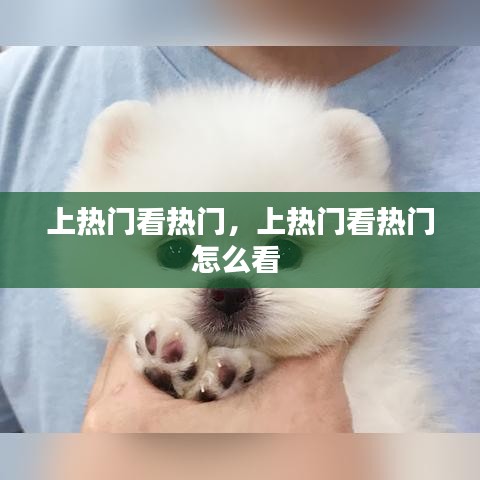 上熱門看熱門，上熱門看熱門怎么看 