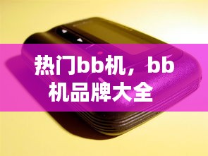 熱門bb機(jī)，bb機(jī)品牌大全 