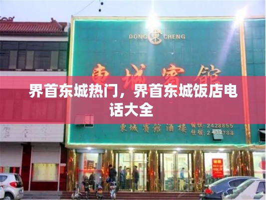 界首東城熱門(mén)，界首東城飯店電話大全 