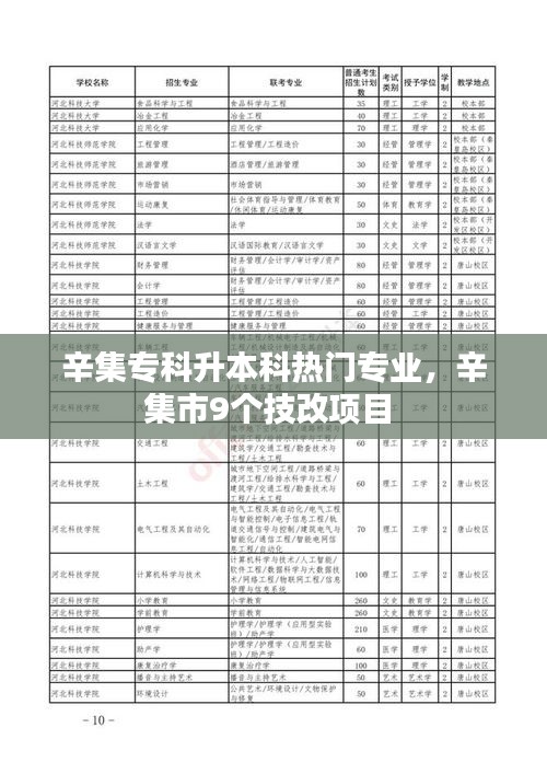 辛集?？粕究茻衢T專業(yè)，辛集市9個技改項目 