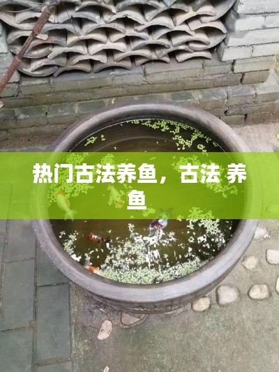 熱門古法養(yǎng)魚，古法 養(yǎng)魚 