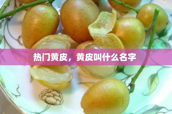 熱門黃皮，黃皮叫什么名字 