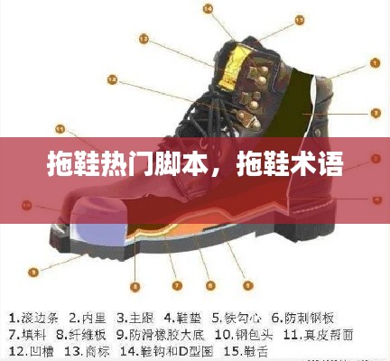 拖鞋熱門腳本，拖鞋術(shù)語 